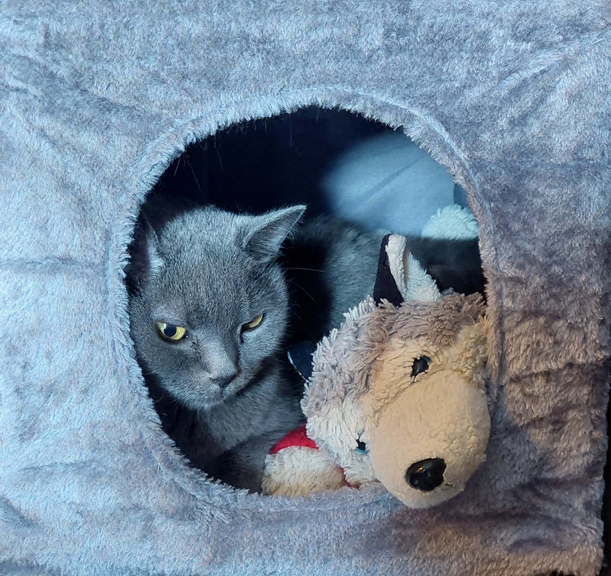 Guildenstern s plyšákem