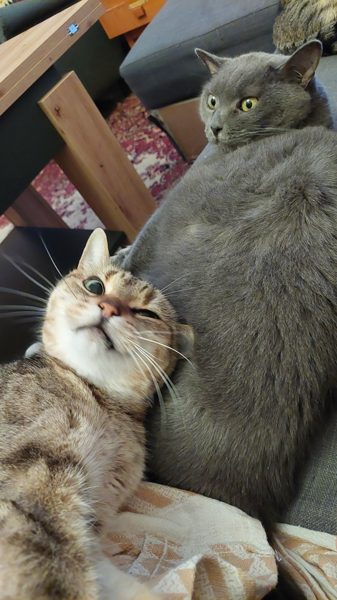 Guildenstern s kamarádem